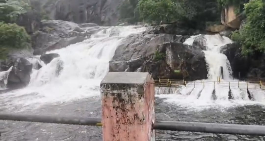 மணிமுத்தாறு அருவியில் வெள்ளப்பெருக்கு