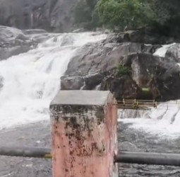 மணிமுத்தாறு அருவியில் வெள்ளப்பெருக்கு