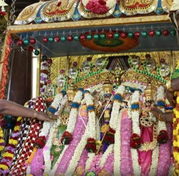 கோவை மருதமலை சுப்பிரமணிய சுவாமி கோவிலில் தைப்பூச விழா