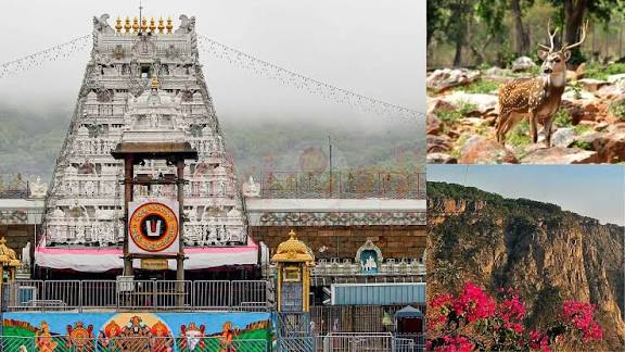 திருப்பதி செல்பவர்கள் கண்டிப்பாக பார்க்க வேண்டிய 7 அழகான இடங்கள்!