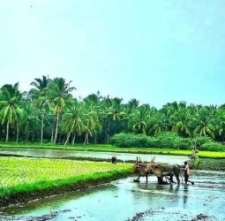 ஜன.9 தென்காசியில் விவசாயிகள் குறைதீர் கூட்டம்