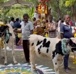 குதிரை வாகனத்தில் பரிவேட்டை மைதானத்துக்கு வந்த ஸ்ரீ மலையப்ப சுவாமி