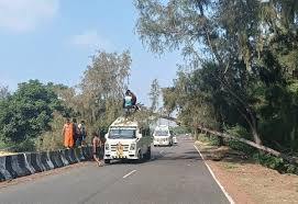 தனுஷ்கோடியில் பக்தர்கள் வேன் மீது விழுந்த மரம்