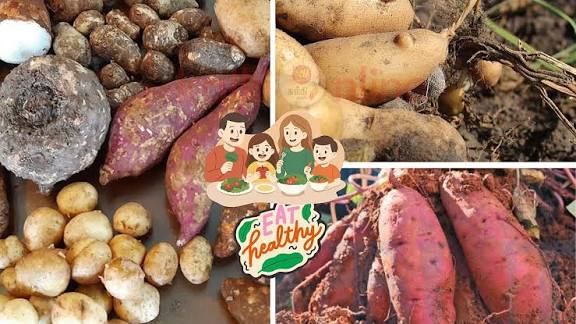 மண்ணுக்கு அடியில் புதைந்திருக்கும் ஆரோக்கியம்! கிழங்கு சாப்பிட்டால் இந்த நோய்கள் போயிந்தே!