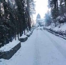 ஹிமாச்சலில் நிலவும் கடும் பனிப்பொழிவால் 1250 சாலைகள் மூடல்; சுற்றுலா பயணிகள் தவிப்பு