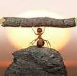 உழைப்பு