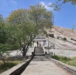 திருப்பரங்குன்றம் கல்லத்தி மரத்தில் சட்டவிரோதமாக கொடி கட்டியவர்கள் மீது வழக்கு