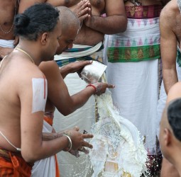 திருப்பதியில் நேற்று ரதசப்தமி விழா