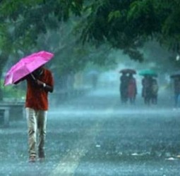 மழையின் ஆரவாரம்