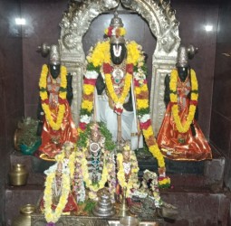 ரதசப்தமி சிறப்பு வழிபாடு