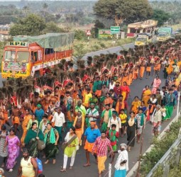 பழனிக்கு தைப்பூச திருவிழா