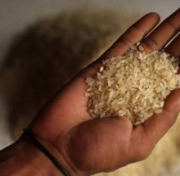 ரேசன் அரிசி கடத்தலை தடுப்பது தொடர்பாக தமிழக கேரள அதிகாரிகள் ஆலோசனை