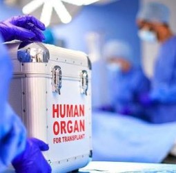 தமிழகத்தில் 2025-ல் மூளைச்சாவு அடைந்த 266 பேரின் உடல் உறுப்பு தானத்தால் 1,476 பேருக்கு மறுவாழ்வு