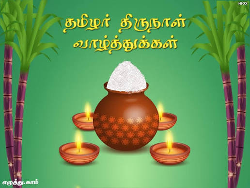 தமிழர் திருநாள் வாழ்த்துகள்!