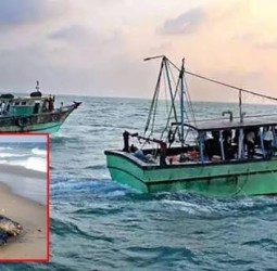 மீனவர்களுக்கு ரூ.6.40 கோடி மதிப்பீட்டில் ஆமை விலக்கு சாதனங்கள்; தமிழக அரசு தகவல்