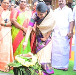 கே.கே.நகர் பகுதியில் நடந்த தைத்திருநாள் பொங்கல் விழா