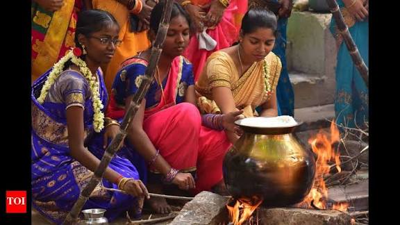 கோவை மாநகராட்சியில 14ந் தேதி சமத்துவ பொங்கல்