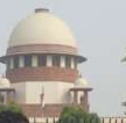 காற்றில் கோட்டை கட்டும் மாநிலங்கள்’: தெருநாய்கள் விவகாரத்தில் உச்சநீதிமன்றம் அதிருப்தி