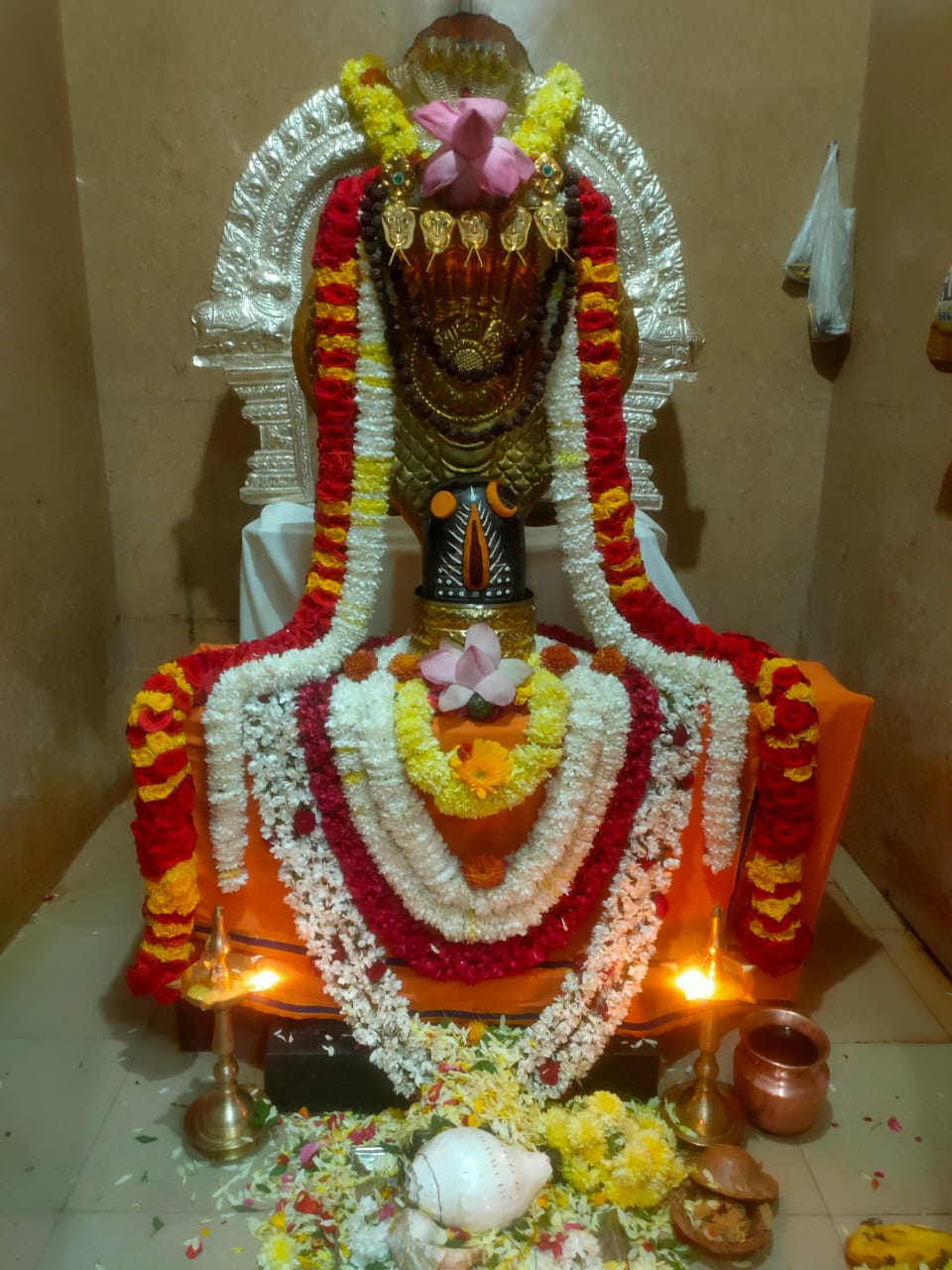 சிறப்பு அலங்காரத்தில் அருள் பாலிக்கும் சர்வலிங்கேஸ்வர பெருமான்