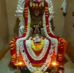 சிறப்பு அலங்காரத்தில் அருள் பாலிக்கும் சர்வலிங்கேஸ்வர பெருமான்
