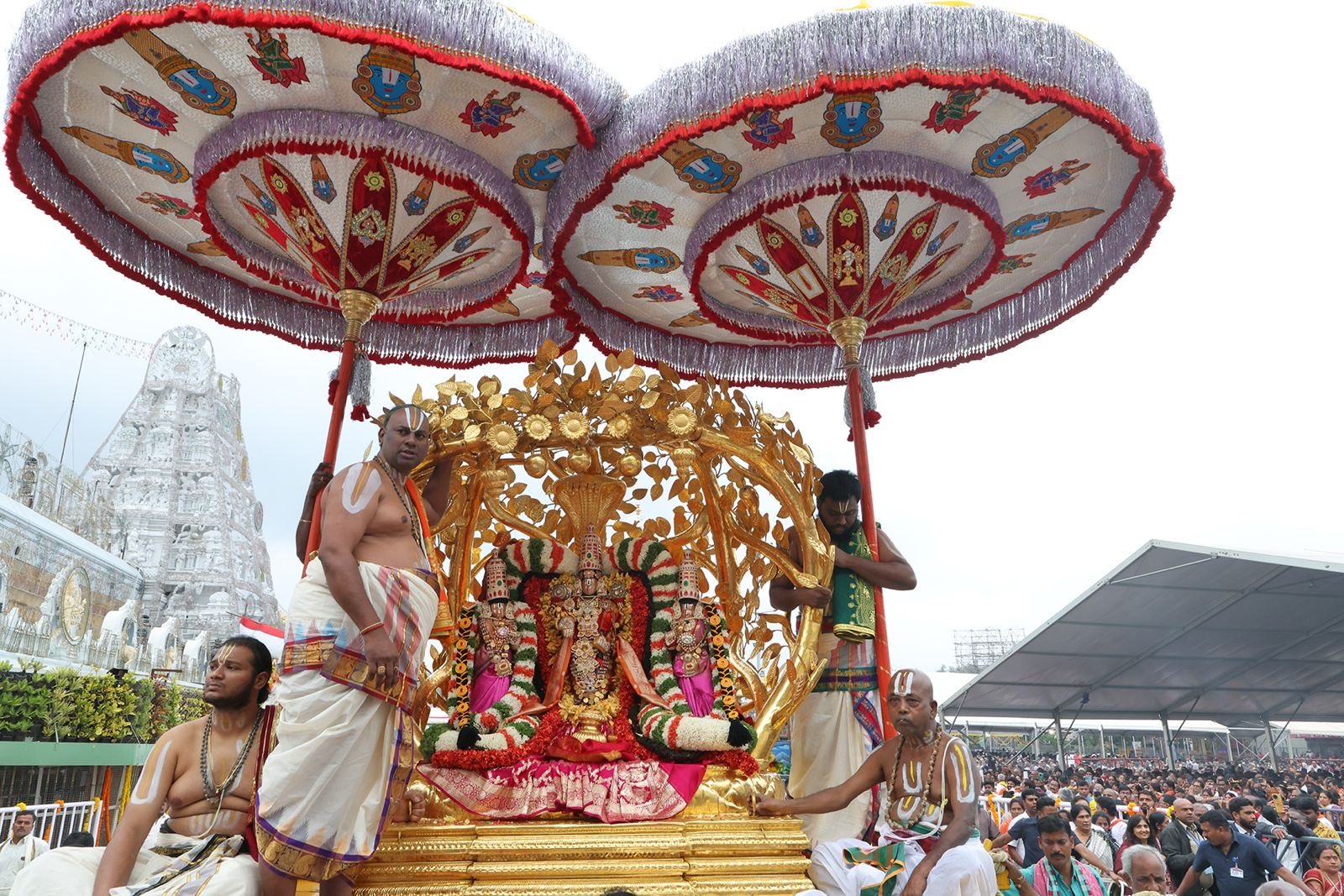 ஒரே நாளில் 7 வாகனங்களில் மலையப்ப சுவாமி மாட வீதிகளில் பவனி