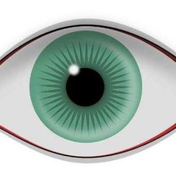 கண்களின் கதவு திறந்தது