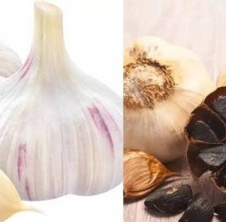 வெள்ளைப் பூண்டை விட பல மடங்கு நன்மை கொண்ட கருப்புப் பூண்டின் ரகசியம் தெரியுமா?