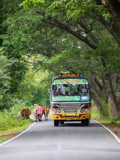 என் ஊர் பேருந்து