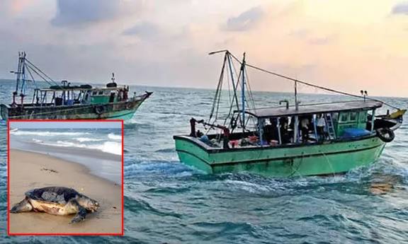 ஆமை விலக்கு சாதனங்களை மீனவர்களின் இழு வலைகளில் பொருத்தும் பணி மின்னல் வேகம்