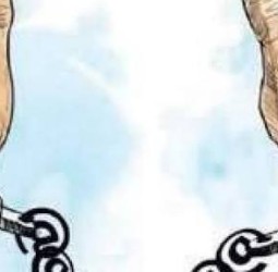 போலி கடவுச்சீட்டுகளை ஏற்பாடு செய்த நபா் கைது