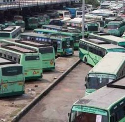 சென்னையில் இருந்து  பொங்கல் சிறப்பு பஸ்கள்