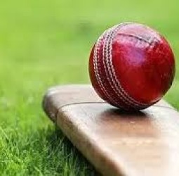 சிஎஸ்கே–திருவள்ளூர் டிசிஏ கிரிக்கெட் போட்டி: வேலம்மாள் பள்ளிகள் அபாரம்