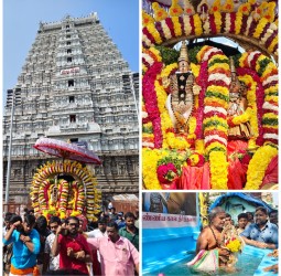 உத்திராயண புண்ணியகாலம் தீர்த்தவாரி,10 -ஆம் நாள் உற்சவம்.....