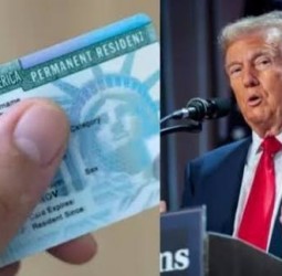 கிரீன் கார்டுக்காக திருமணம் இனி செல்லாது: டிரம்ப் அதிரடி