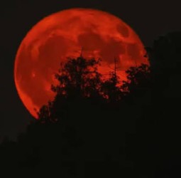 மார்ச் 3-ல் 'பிளட் மூன்' - 2026-ன் முதல் சந்திர கிரகணம்!