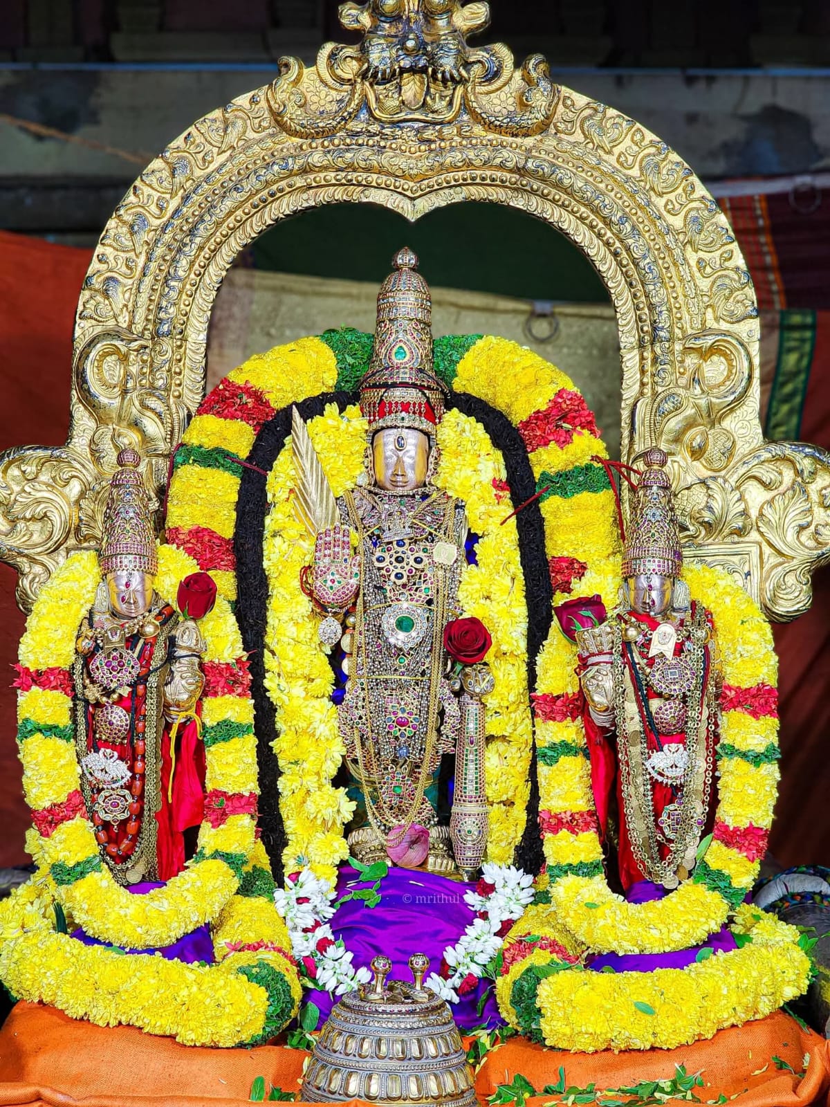 ஸ்ரீ வைத்திய வீரராகவ சுவாமி தேவஸ்தானம்