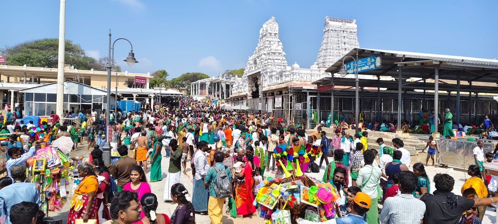 சுப்பிரமணிய சுவாமி கோயிலில் சுவாமி தரிசனம் செய்ய நேற்று குவிந்த பக்தர்கள்