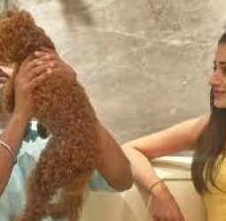 இன்ஸ்டாகிராமில் விஜய்யை ஃபாலோ செய்வதை நிறுத்திய த்ரிஷா?